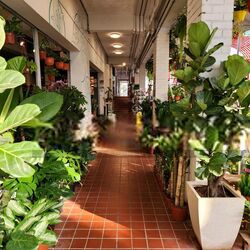 Kovan City (D19), Retail #545516961